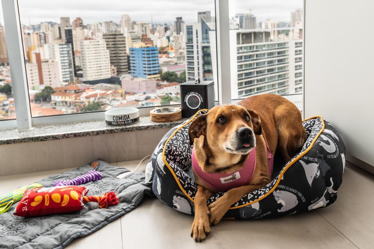 Homelike Faria Lima: Urban Oasis With Views And Pool Apartamento São Paulo